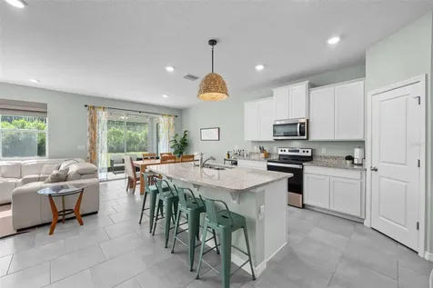 8693 Bower Bass Circle Wesley Chapel FL 33545