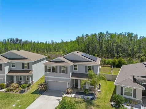 8693 Bower Bass Circle Wesley Chapel FL 33545