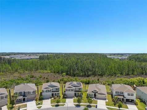 8693 Bower Bass Circle Wesley Chapel FL 33545