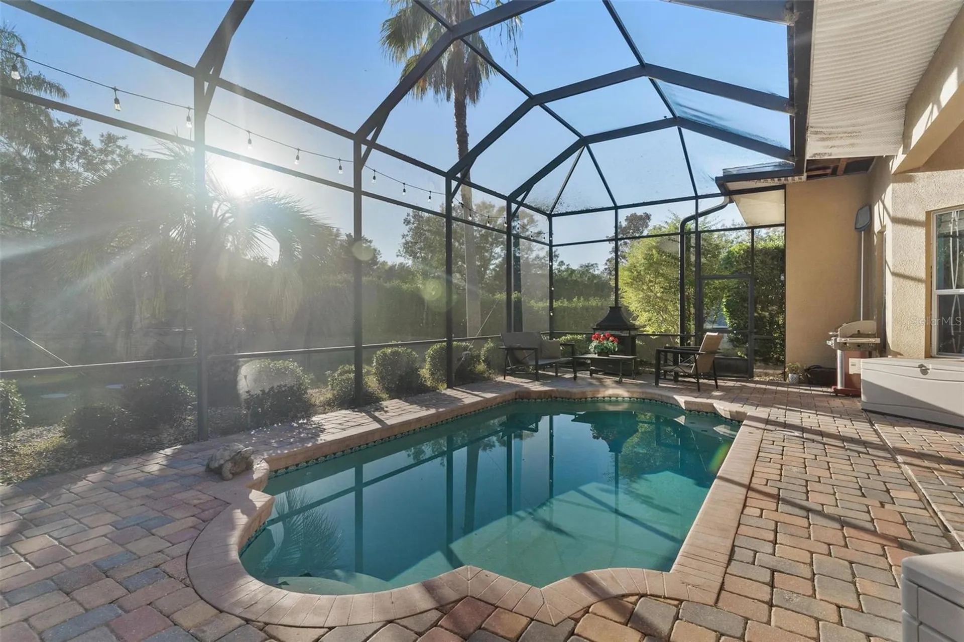 39419 Treeline Drive Lady Lake FL 32159