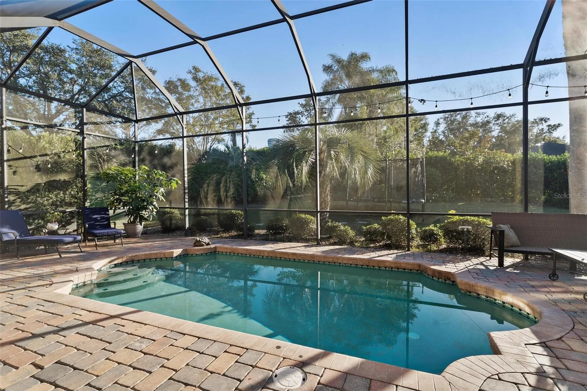 39419 Treeline Drive Lady Lake FL 32159
