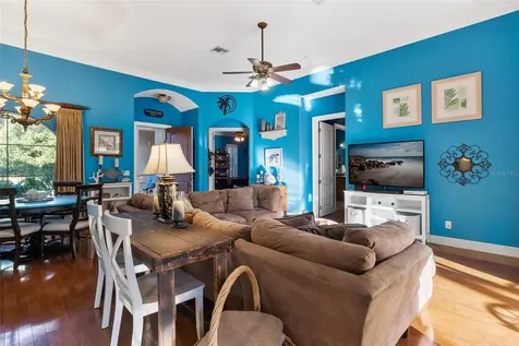 39419 Treeline Drive Lady Lake FL 32159