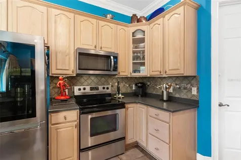 39419 Treeline Drive Lady Lake FL 32159