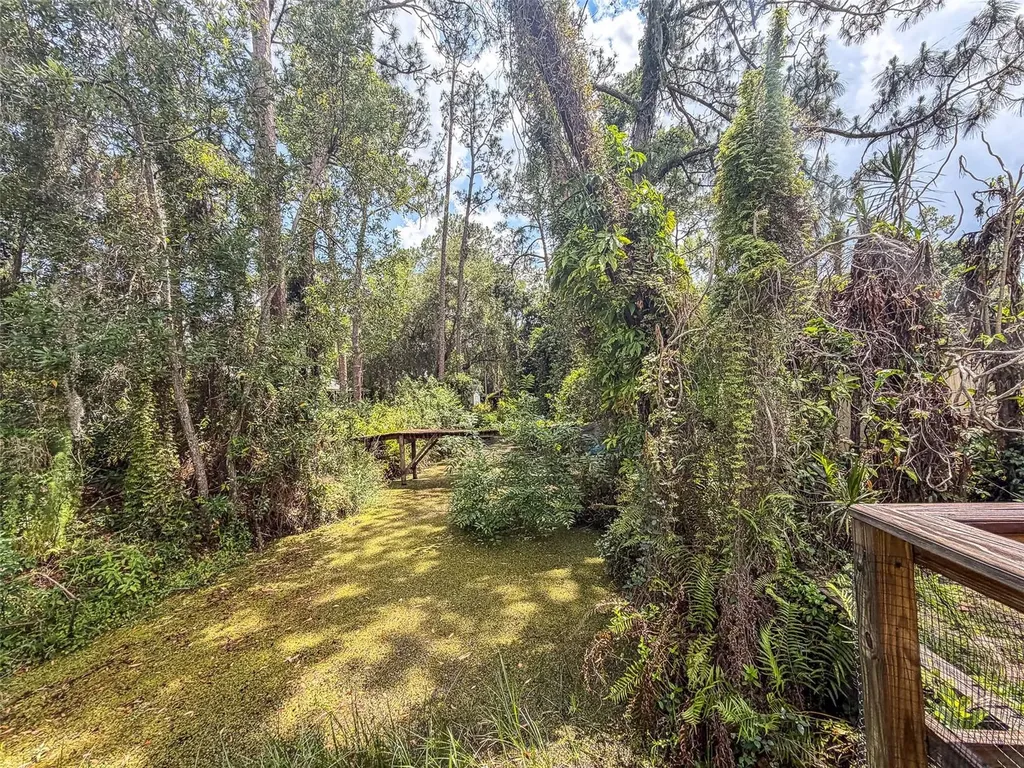 305 Cloverleaf Road Lake Placid FL 33852