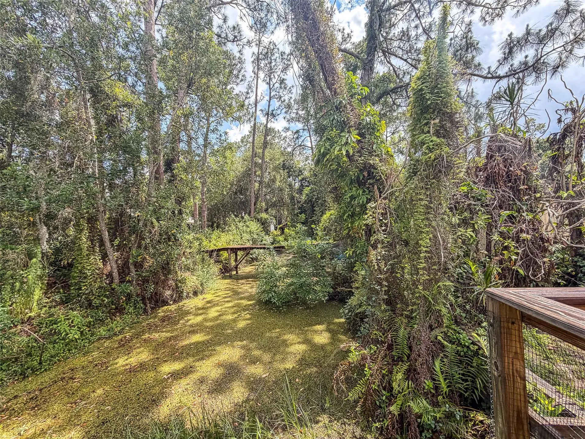 305 Cloverleaf Road Lake Placid FL 33852