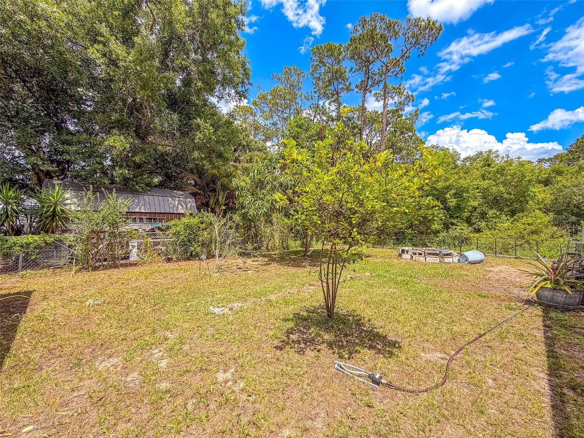 305 Cloverleaf Road Lake Placid FL 33852