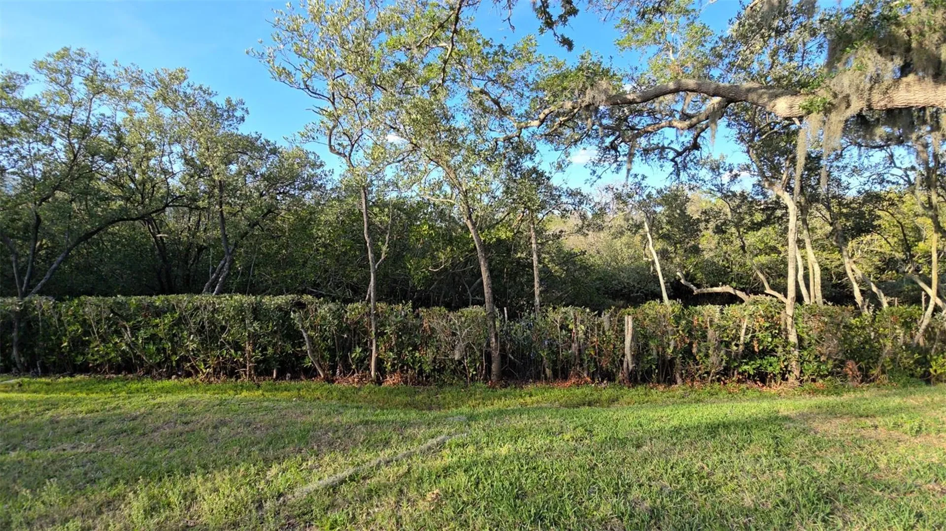 4849 Onyx Lane New Port Richey FL 34652