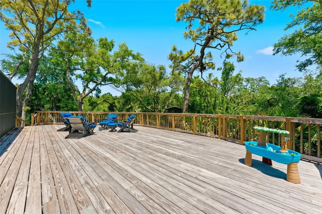 1360 Sago Court Dunedin FL 34698