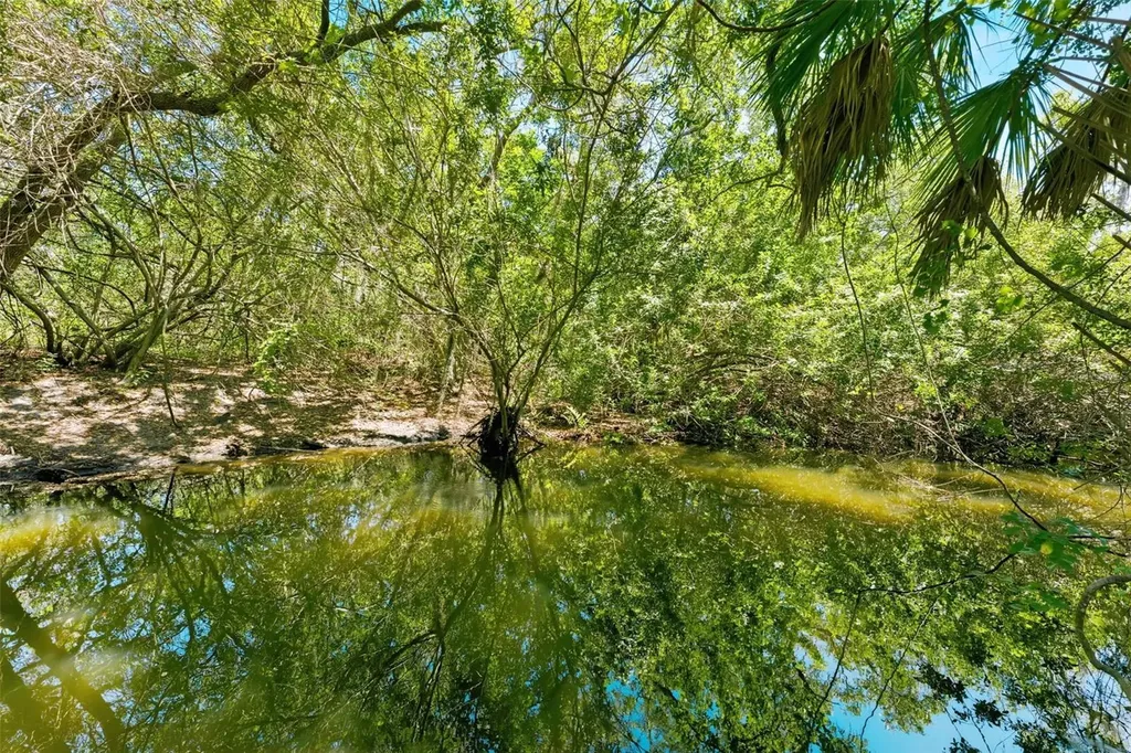 1360 Sago Court Dunedin FL 34698