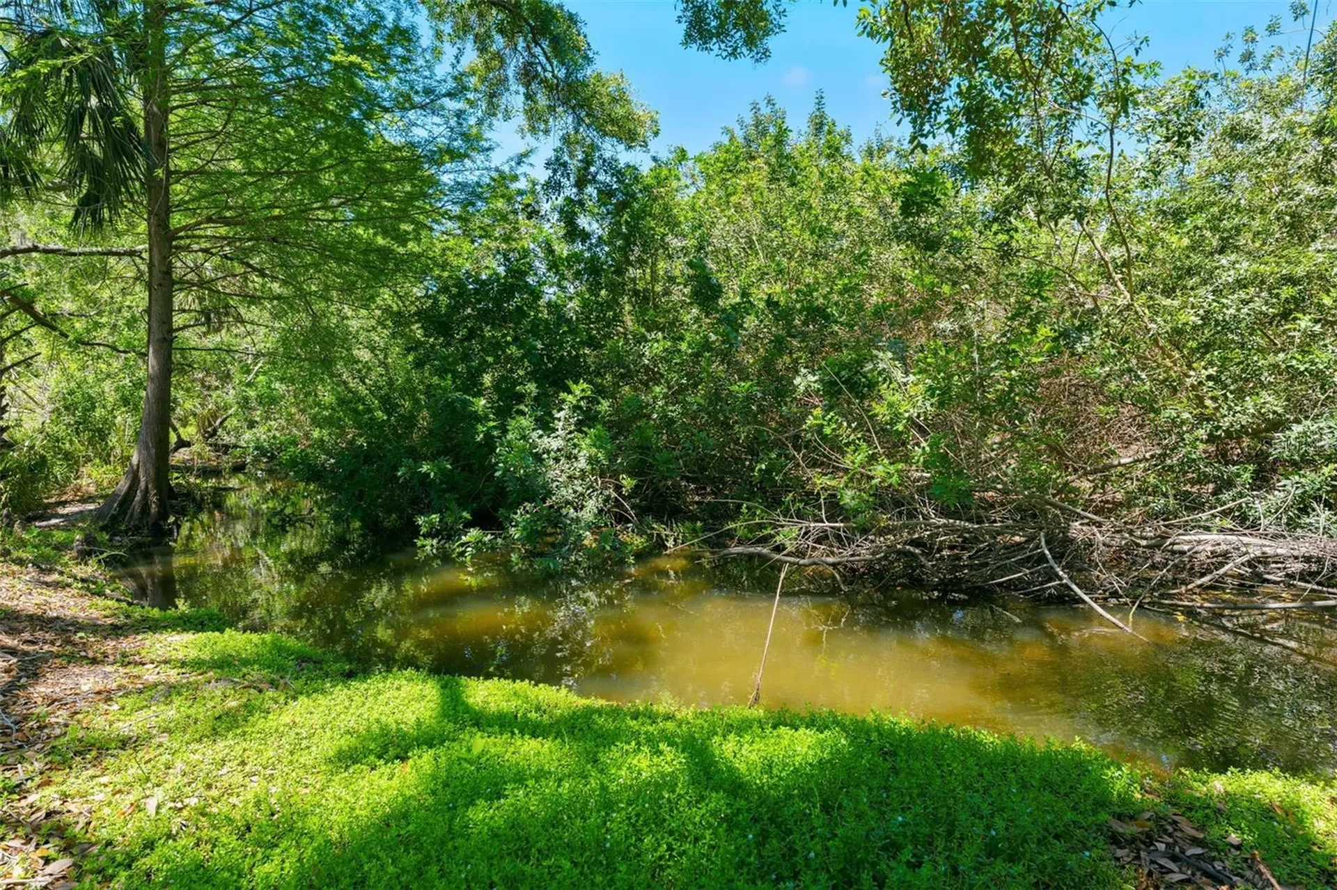 1360 Sago Court Dunedin FL 34698