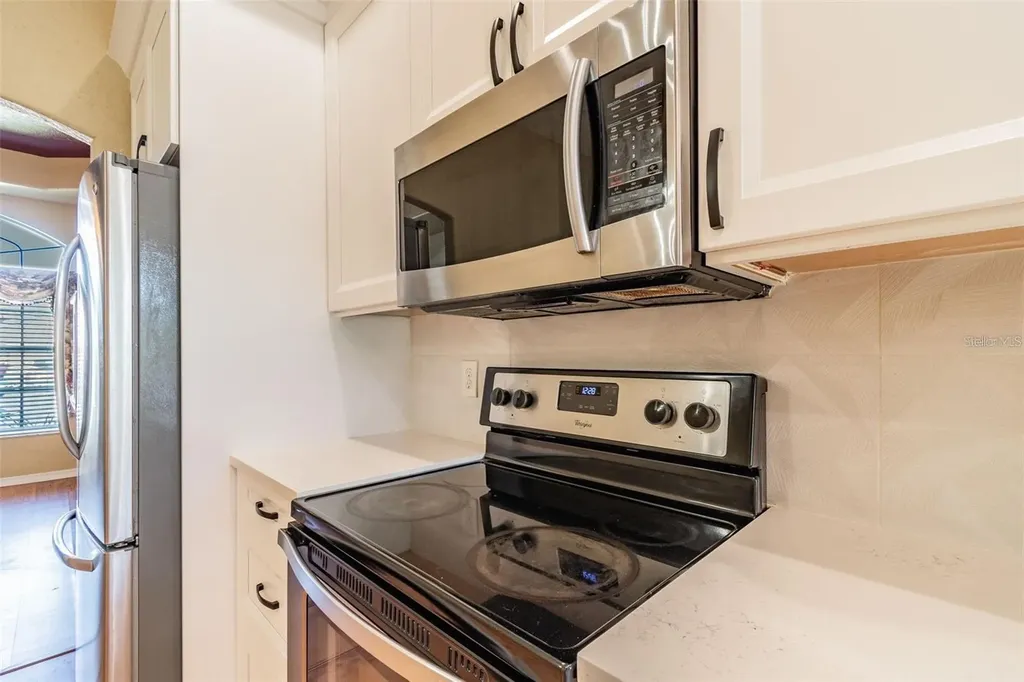 1936 Tangledvine Drive Wesley Chapel FL 33543