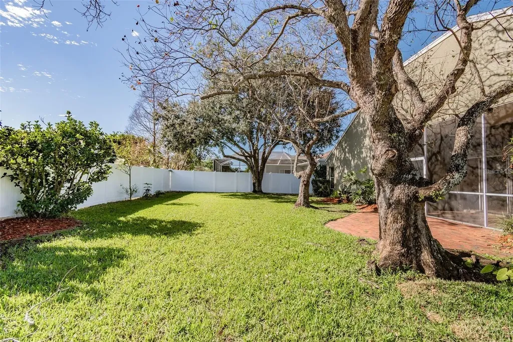 1936 Tangledvine Drive Wesley Chapel FL 33543