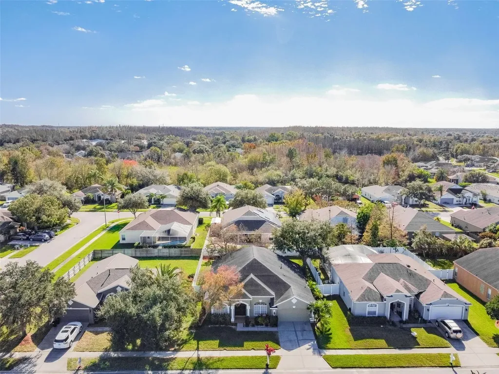 1936 Tangledvine Drive Wesley Chapel FL 33543