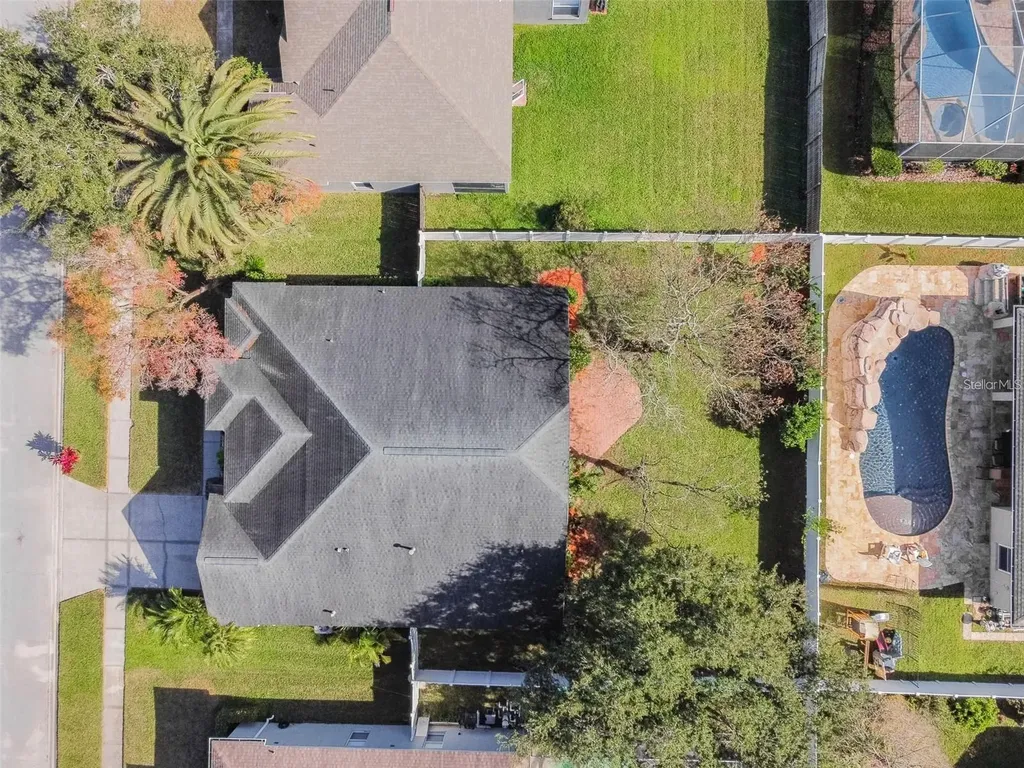 1936 Tangledvine Drive Wesley Chapel FL 33543