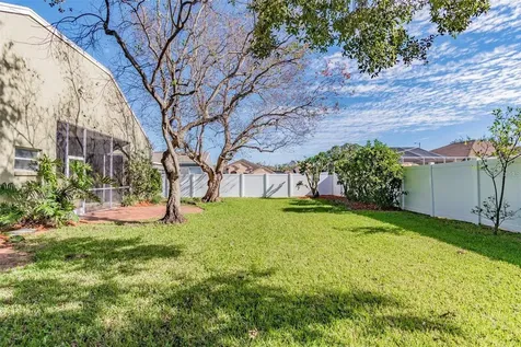 1936 Tangledvine Drive Wesley Chapel FL 33543