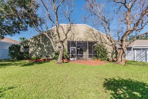 1936 Tangledvine Drive Wesley Chapel FL 33543