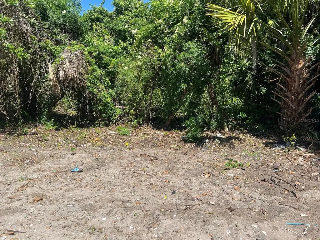 948 Cr 461 Lake Panasoffkee FL 33538