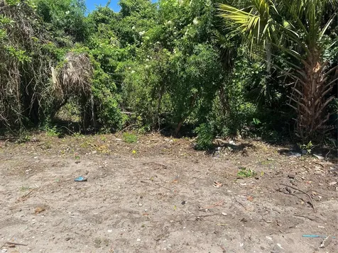 948 Cr 461 Lake Panasoffkee FL 33538