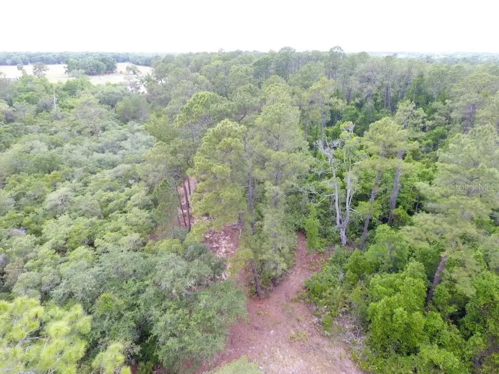 161 Snake Hill Road Crescent City FL 32112
