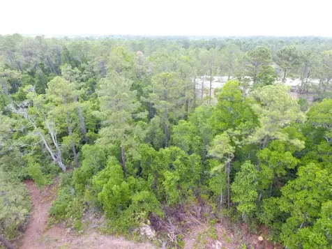161 Snake Hill Road Crescent City FL 32112
