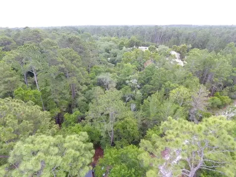 161 Snake Hill Road Crescent City FL 32112