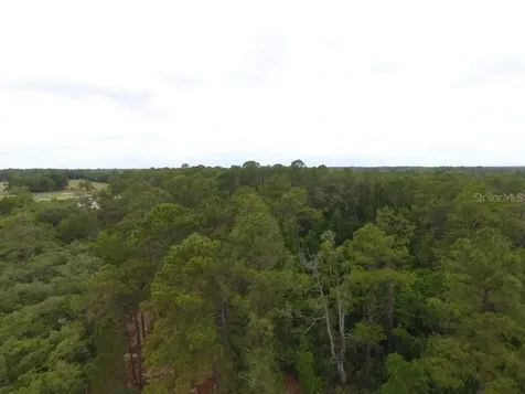 161 Snake Hill Road Crescent City FL 32112