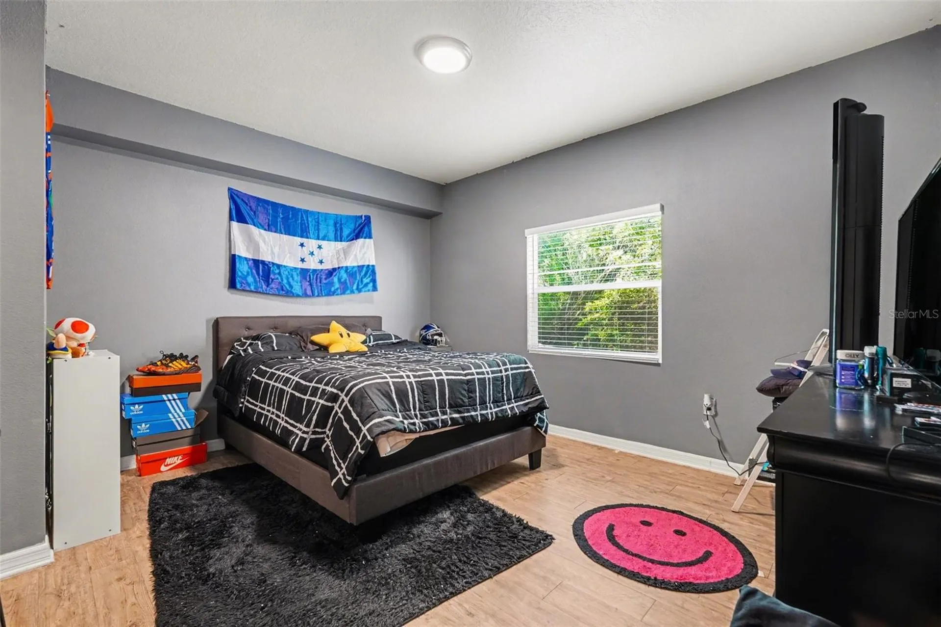 9517 Amberdale Court Riverview FL 33578