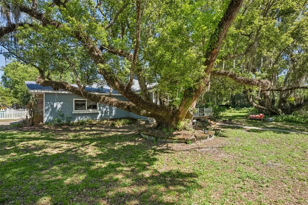 1048 N Grandview Street Mount Dora FL 32757