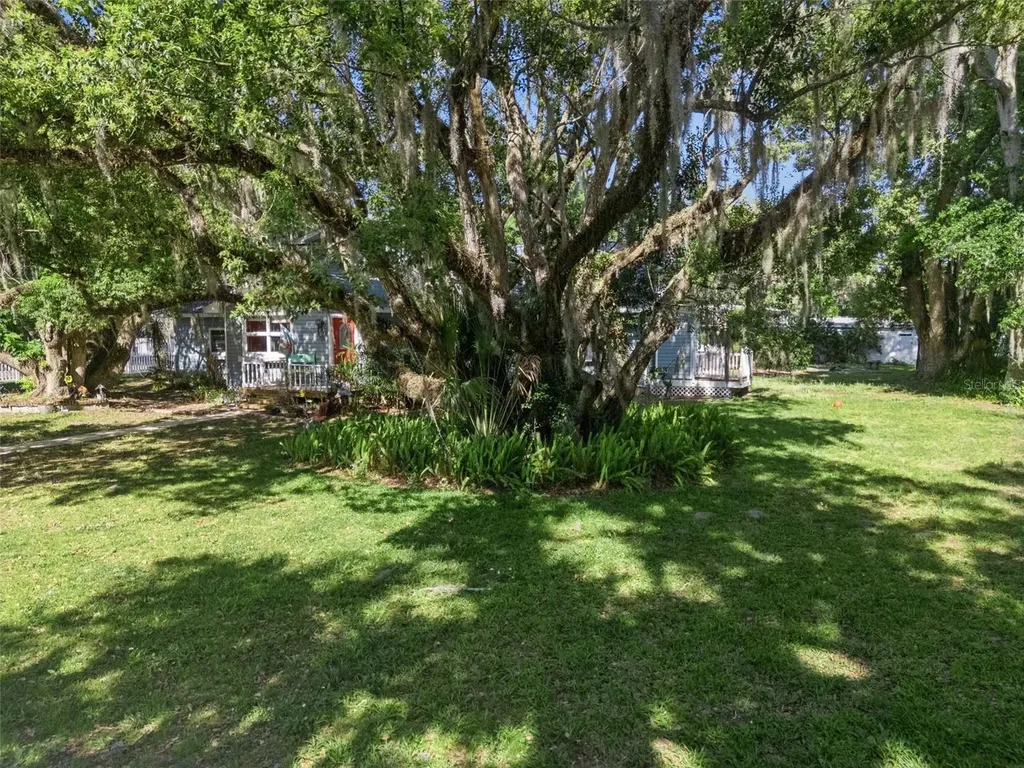 1048 N Grandview Street Mount Dora FL 32757