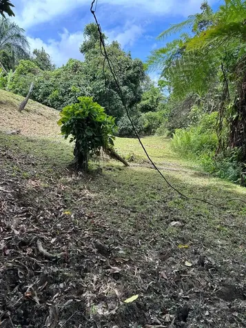 Pr 9989 Int Luquillo PR 00773
