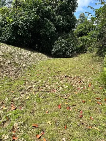 Pr 9989 Int Luquillo PR 00773