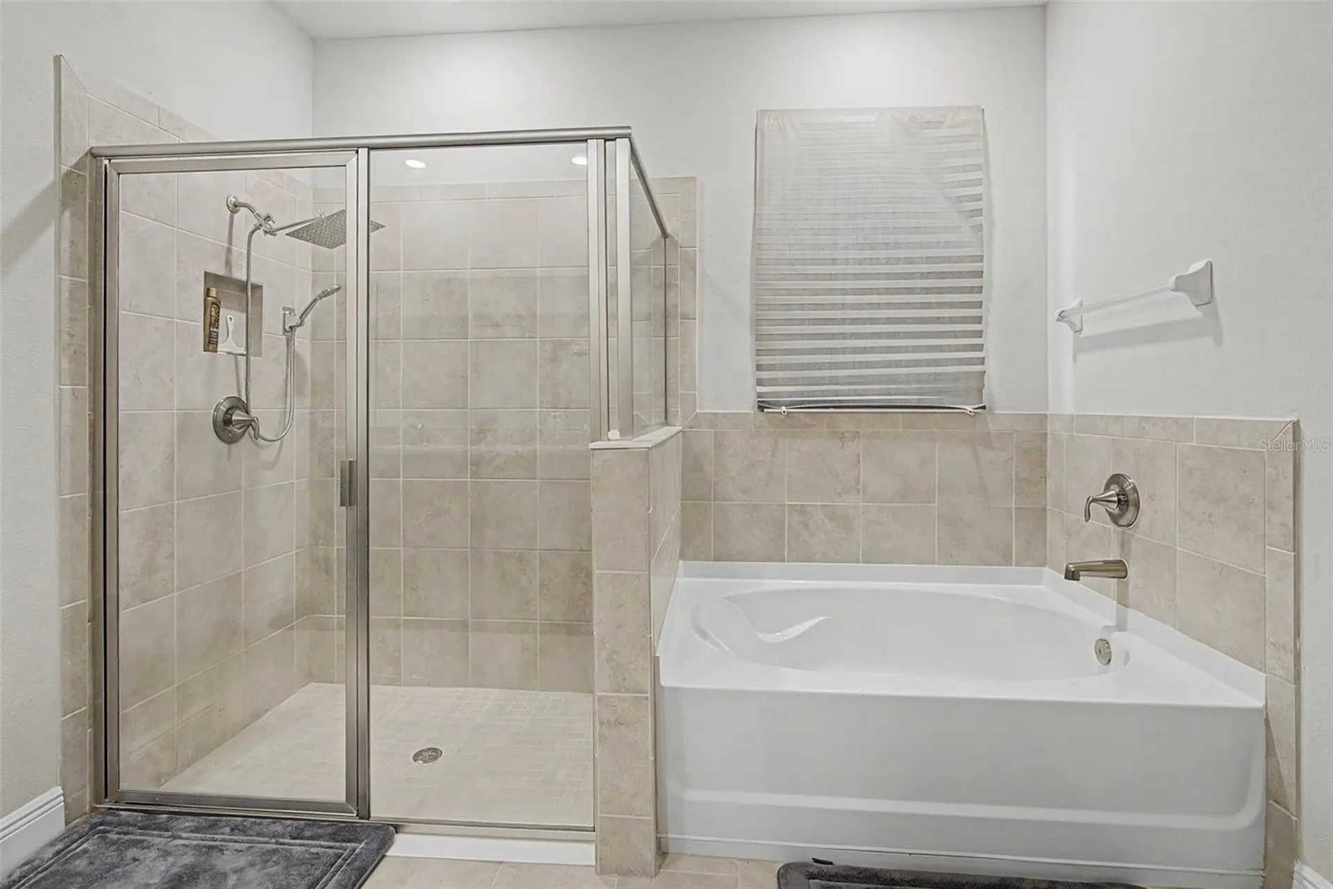 176 Bright Ibis Avenue Apollo Beach FL 33572