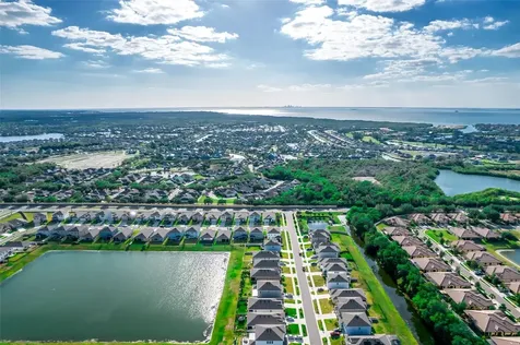 176 Bright Ibis Avenue Apollo Beach FL 33572