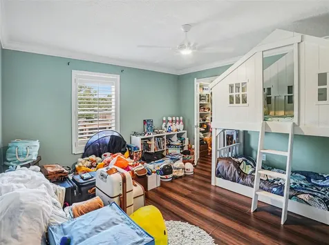 900 Nola Drive Ocoee FL 34761