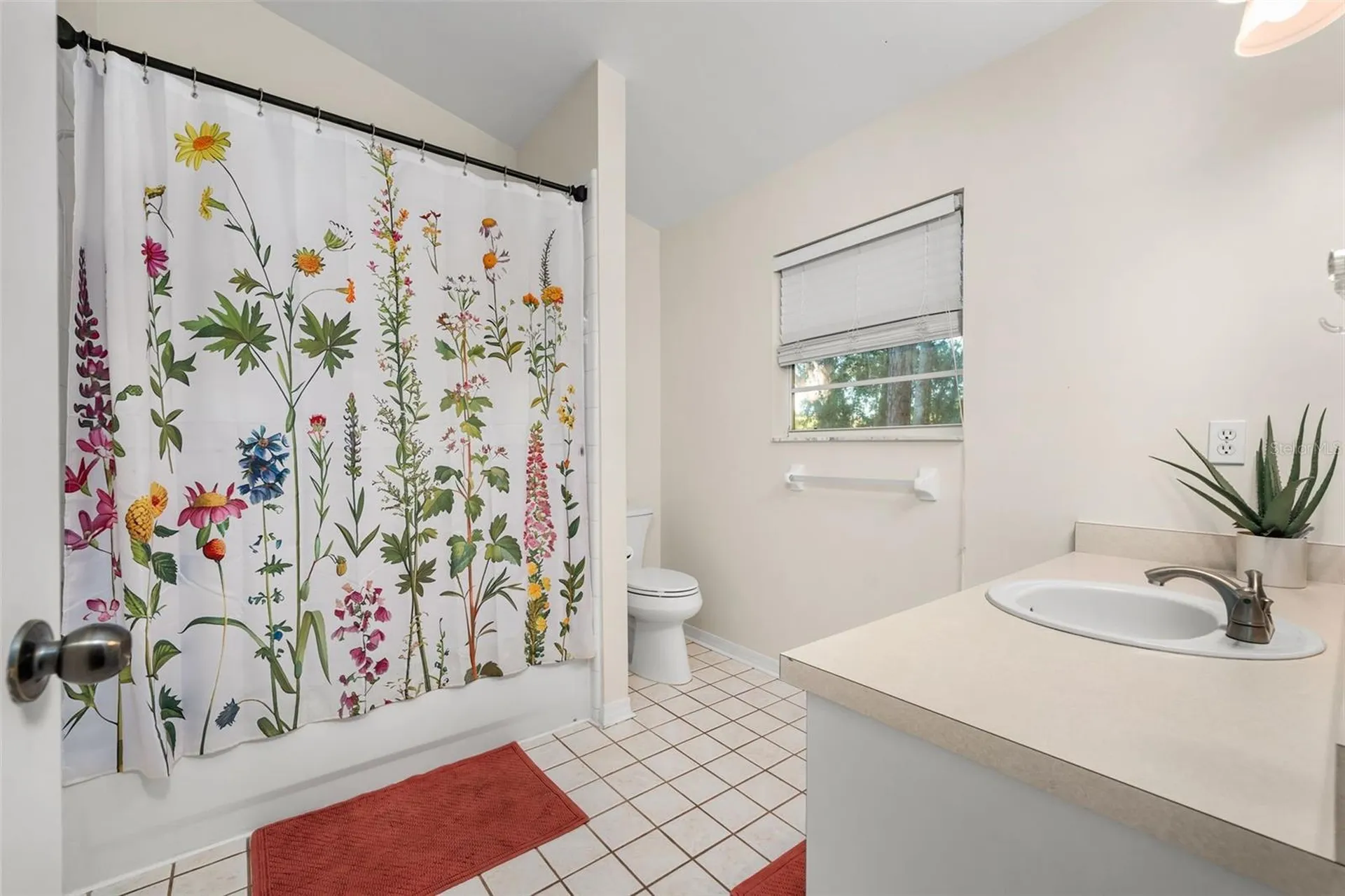 6234 NW 41st Drive Gainesville FL 32653