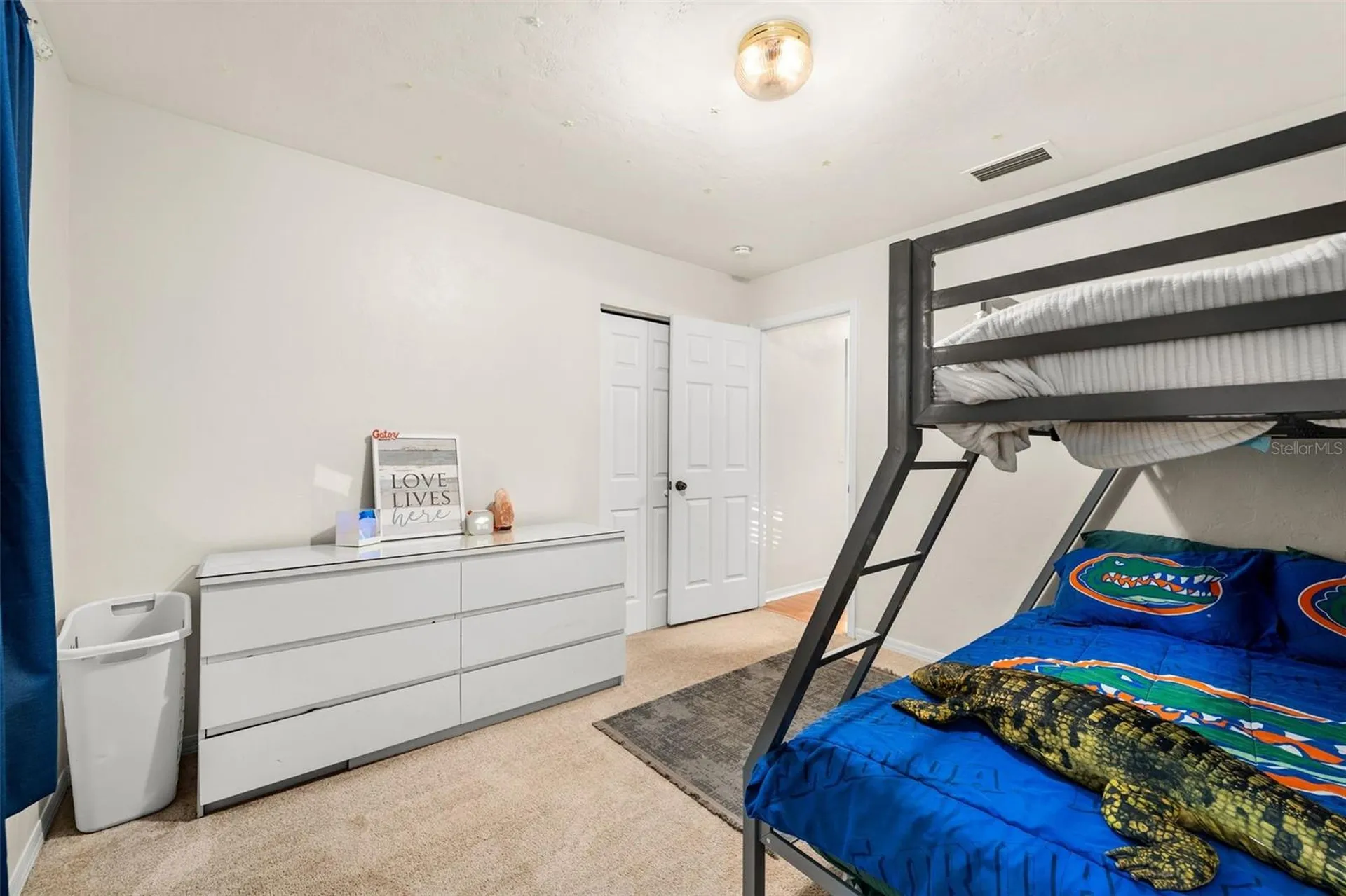6234 NW 41st Drive Gainesville FL 32653