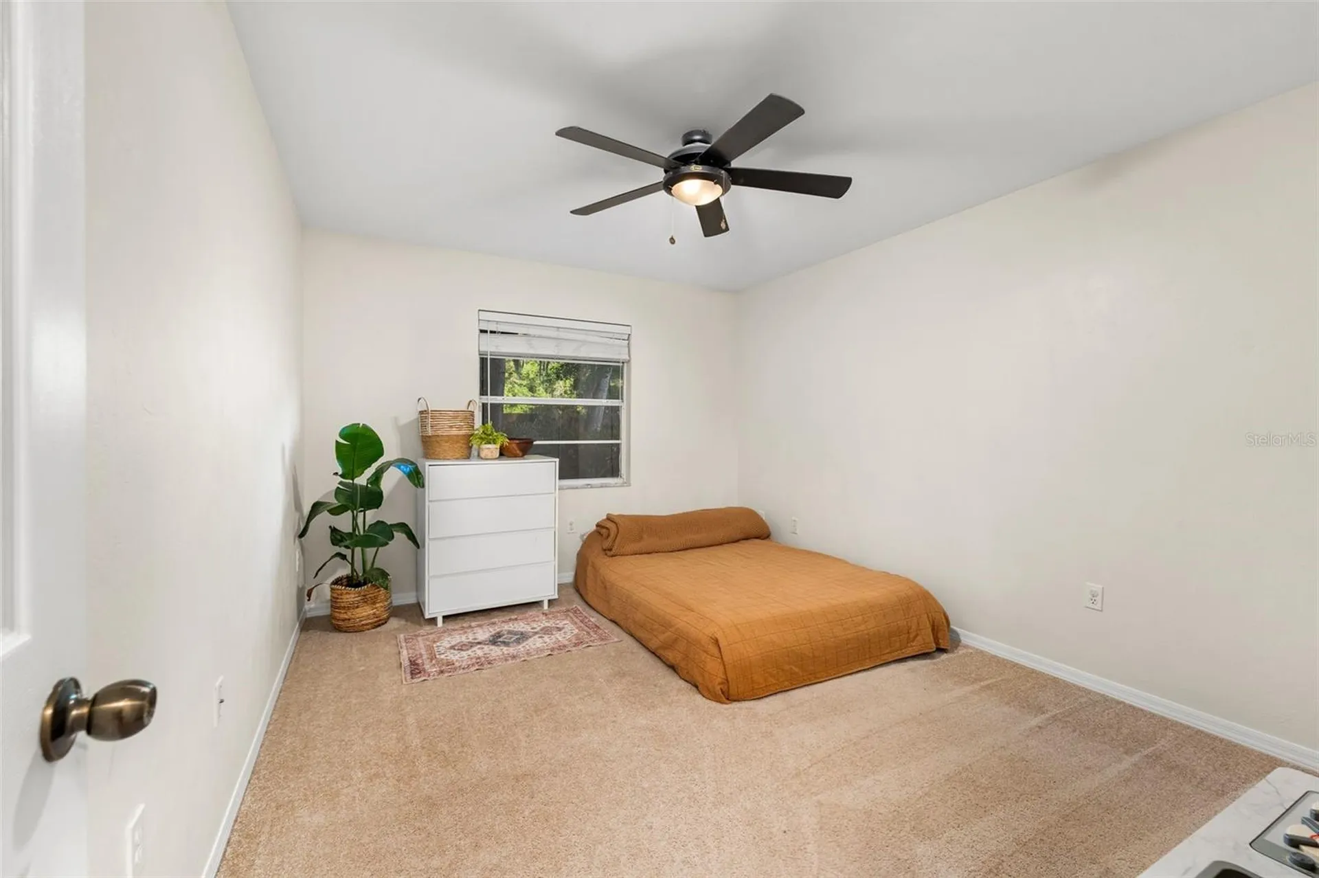 6234 NW 41st Drive Gainesville FL 32653
