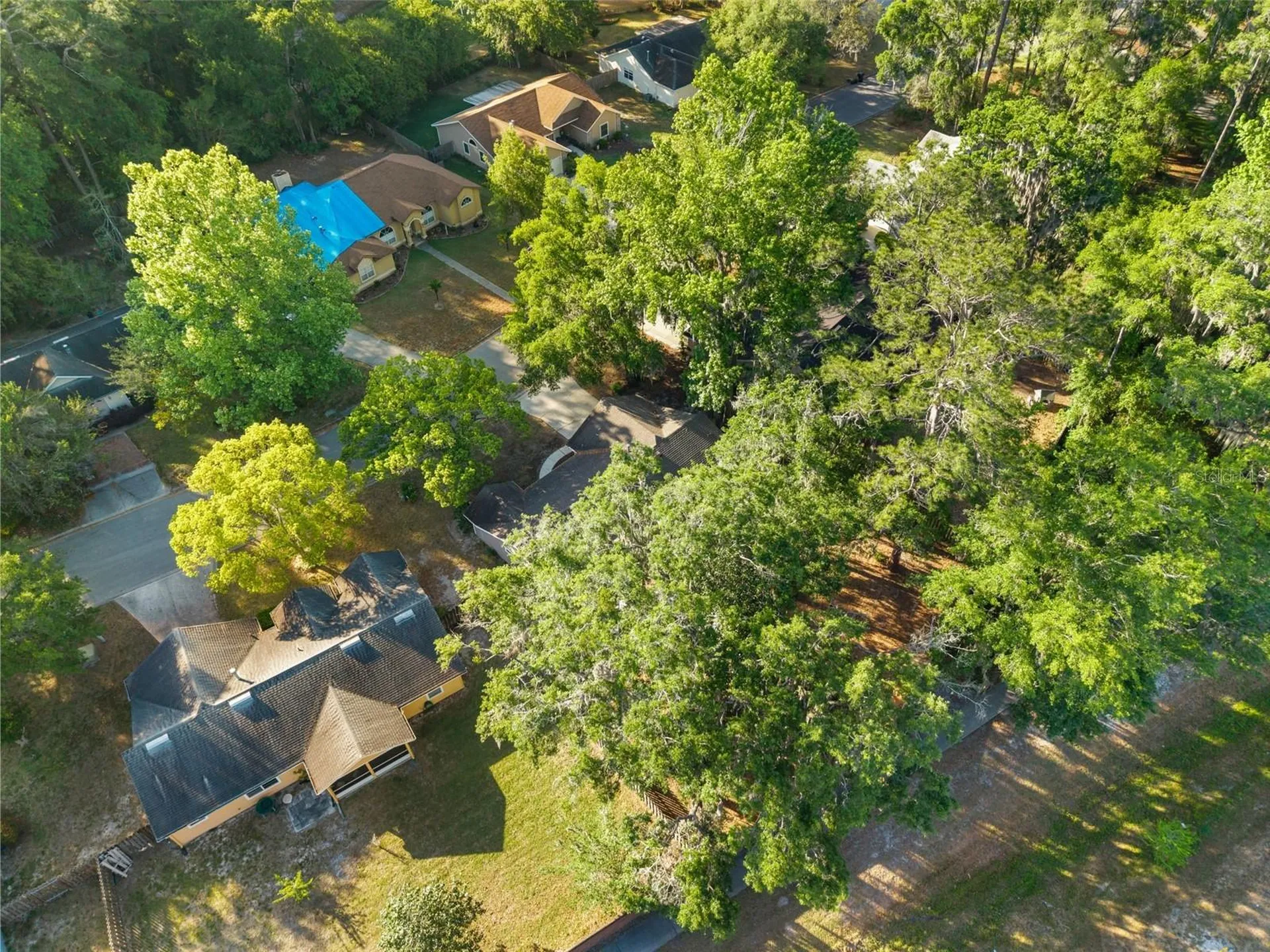 6234 NW 41st Drive Gainesville FL 32653