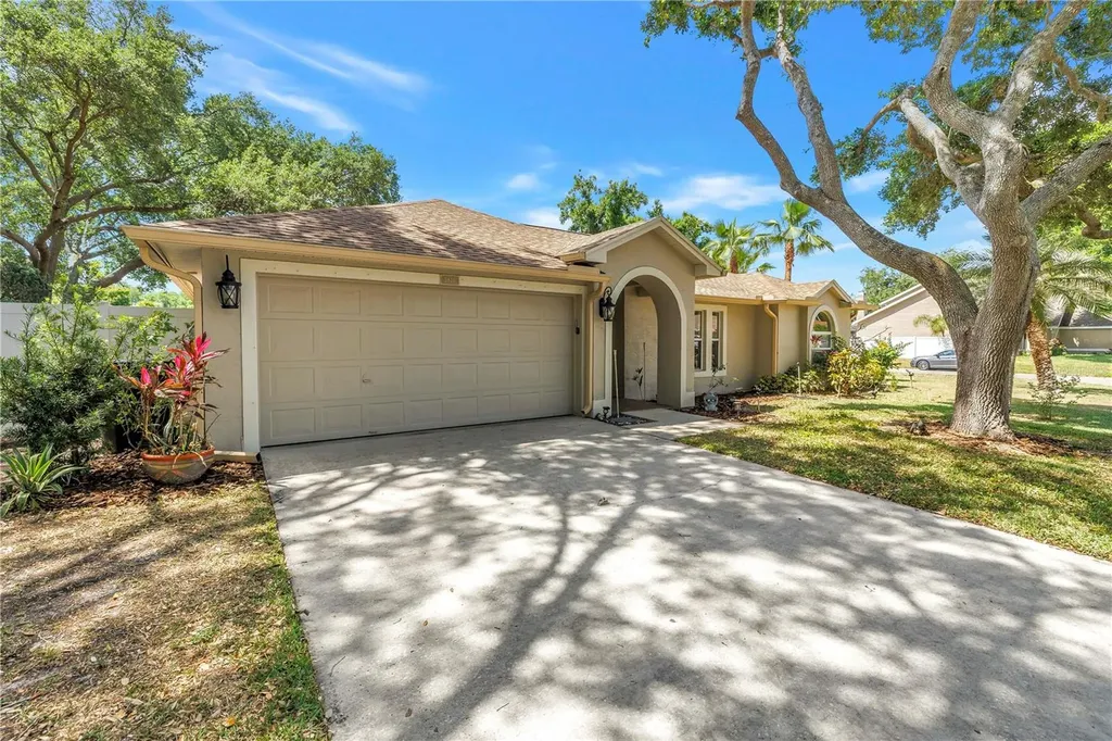 5810 Bitter Orange Avenue Tampa FL 33625