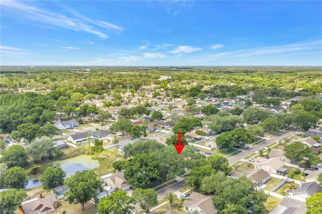 5810 Bitter Orange Avenue Tampa FL 33625