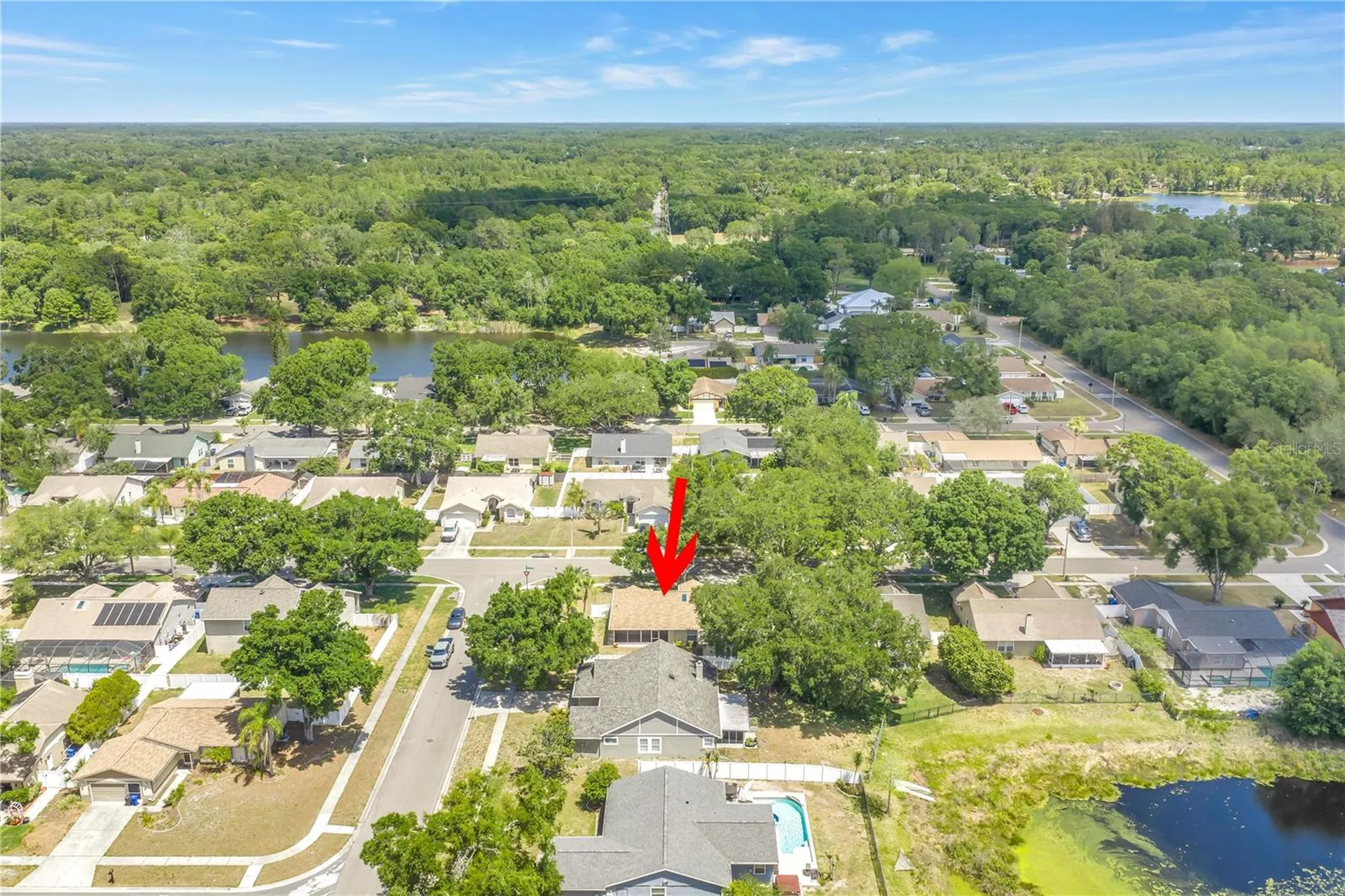 5810 Bitter Orange Avenue Tampa FL 33625