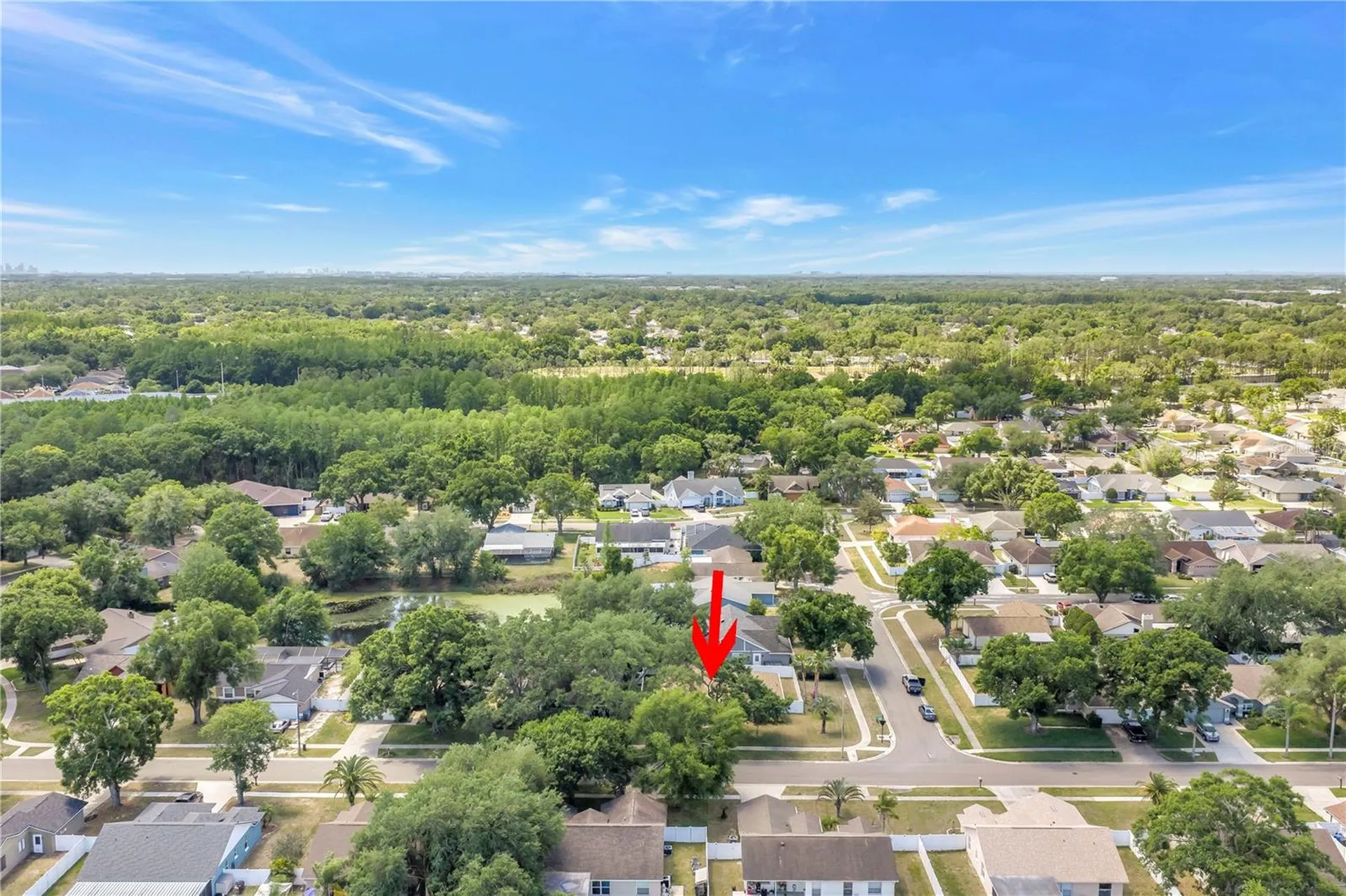 5810 Bitter Orange Avenue Tampa FL 33625