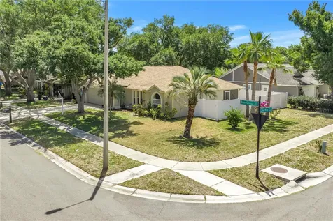 5810 Bitter Orange Avenue Tampa FL 33625