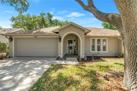 5810 Bitter Orange Avenue Tampa FL 33625