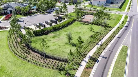 3255 Silver Date Drive Wimauma FL 33598