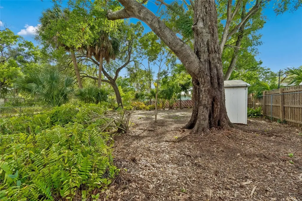4703 S Renellie Drive Tampa FL 33611