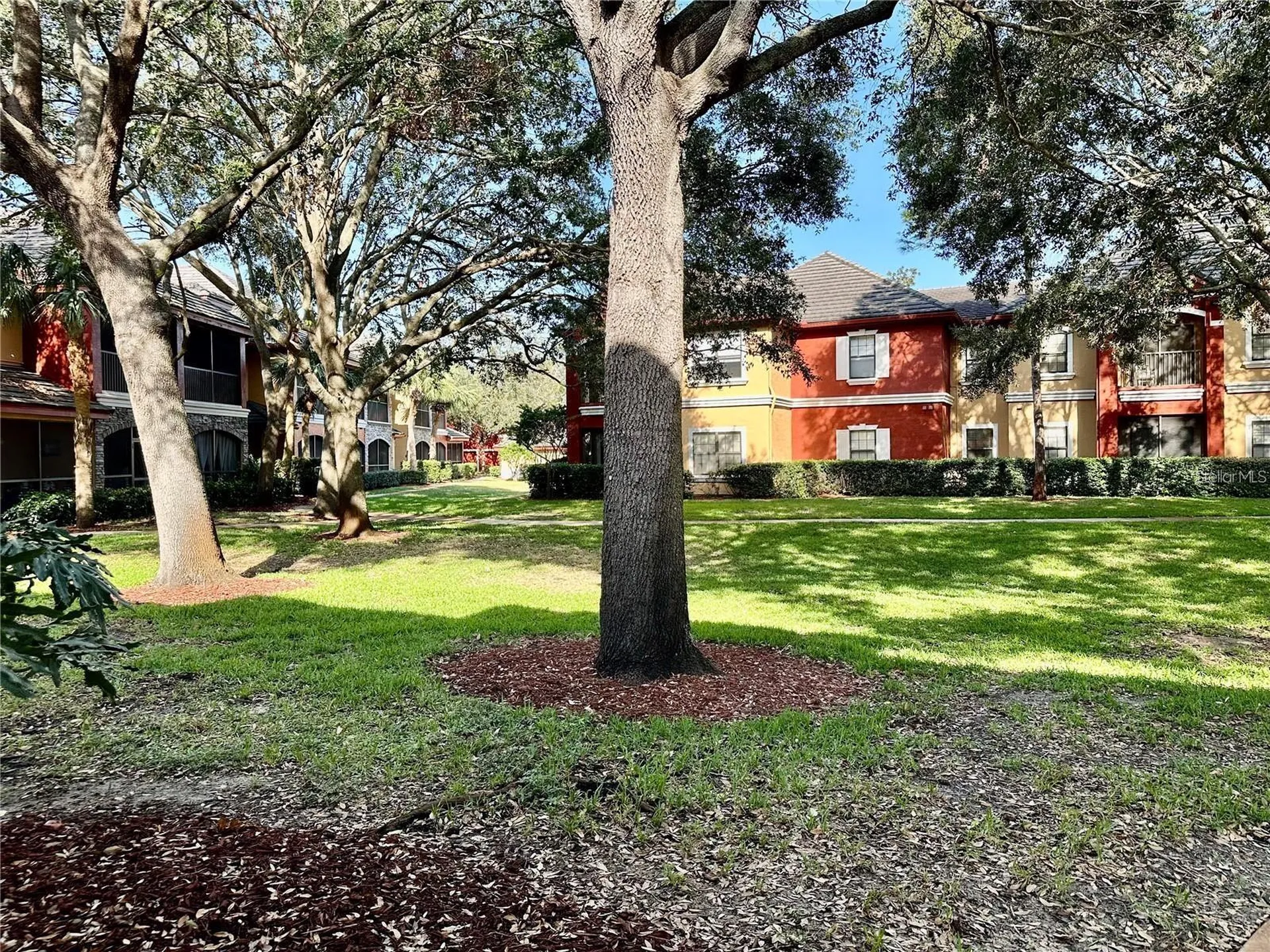 2199 Chianti Place Palm Harbor FL 34683