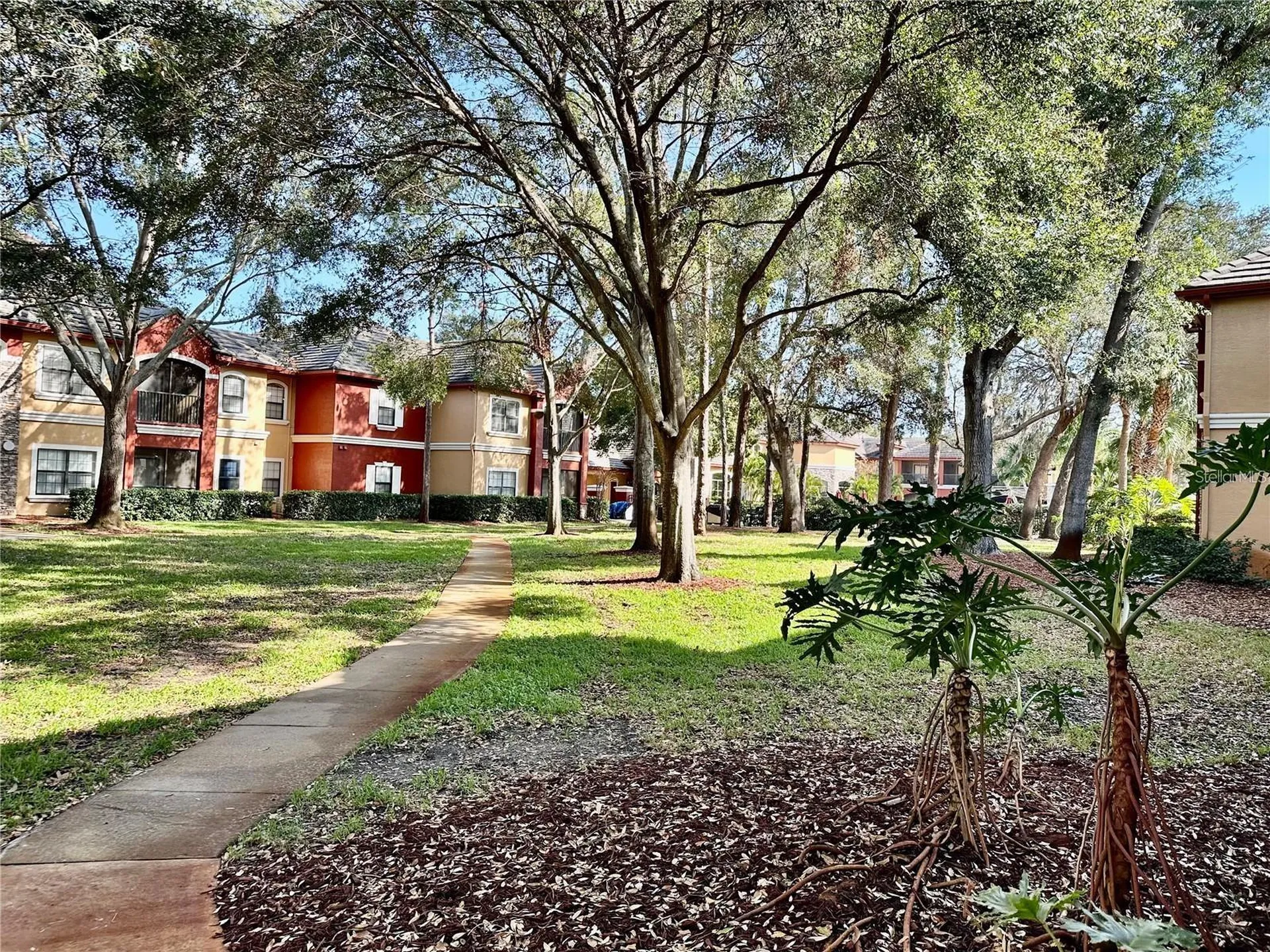 2199 Chianti Place Palm Harbor FL 34683