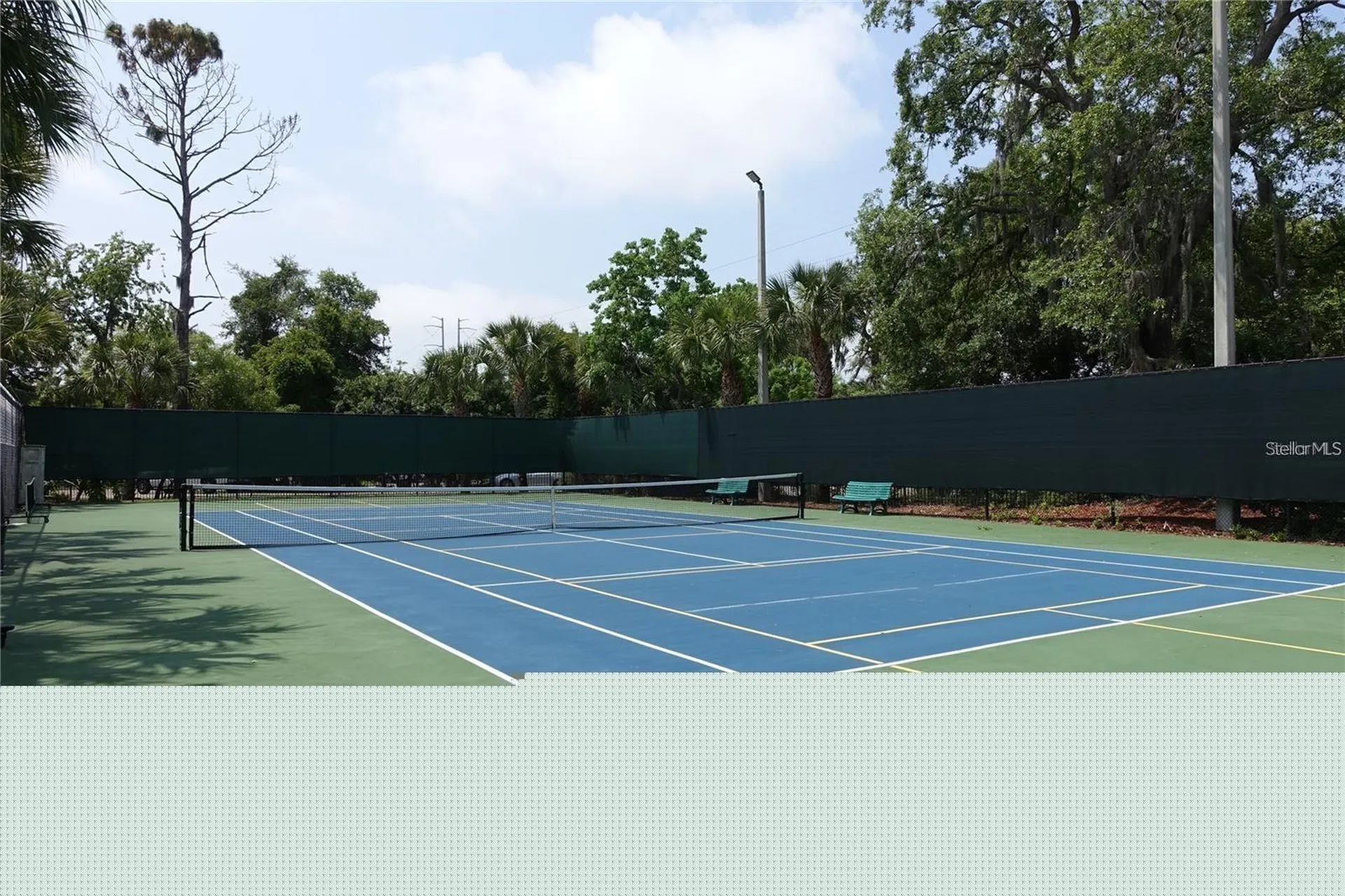 2199 Chianti Place Palm Harbor FL 34683