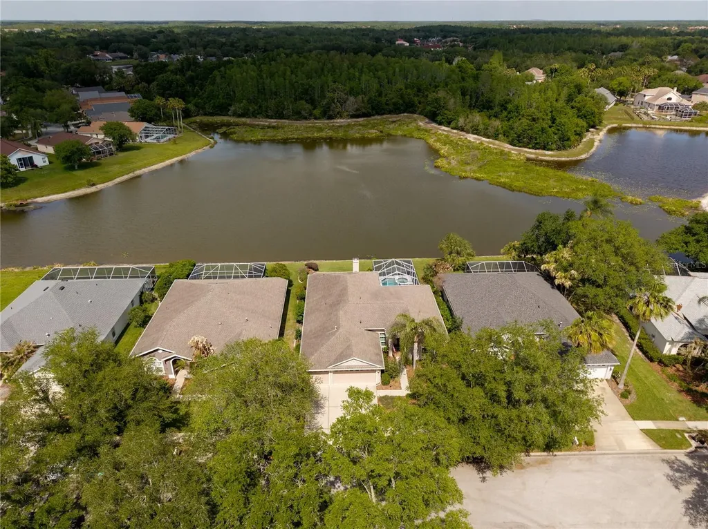 9442 Hunters Pond Drive Tampa FL 33647